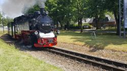 Historische Schmalspurbahn Rasender Roland