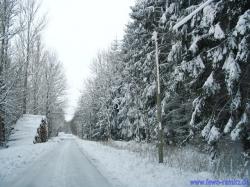 Bild "Winter_1.jpg"