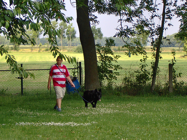 Bild "gastmeinung:olbergvogel.png"